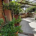 ゲストハウス La Casa In Giardino